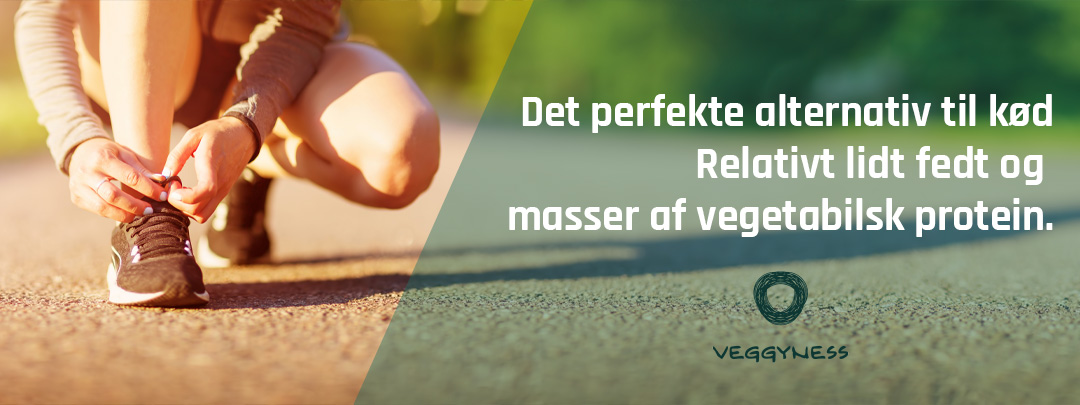 Veggyness-banner-midt-Vegedan